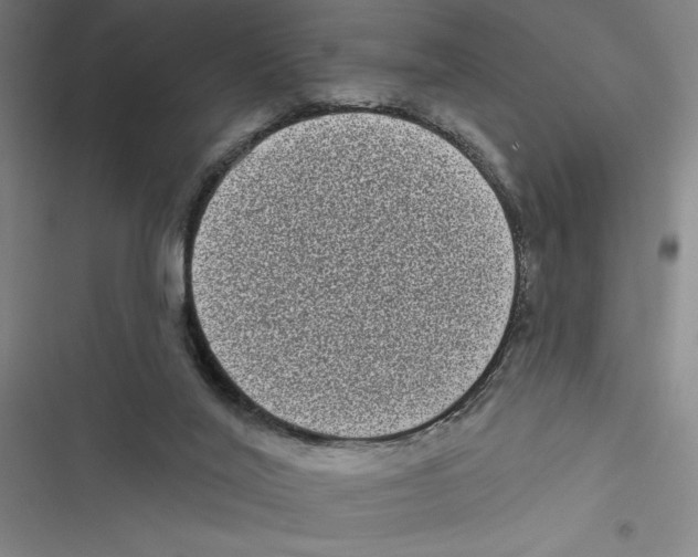 X0000116770020201001141500