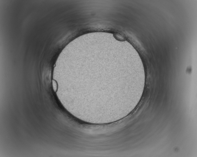 X0000116770021201001141500