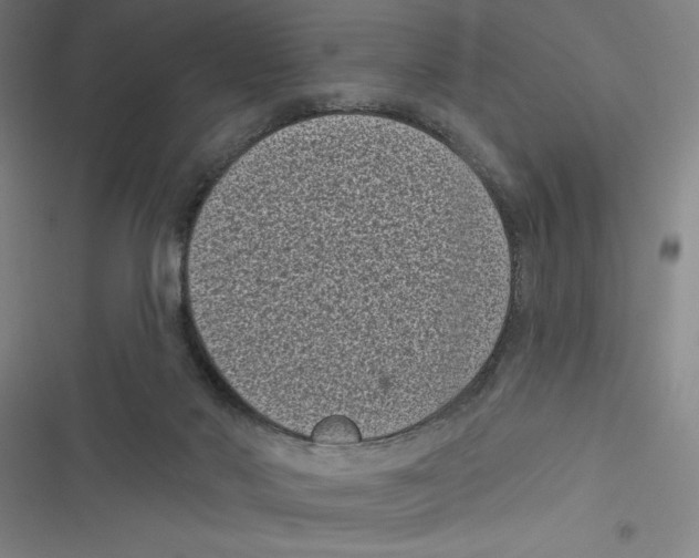 X0000116770022201001141500