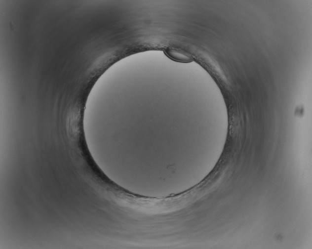 X0000116770023201001141500