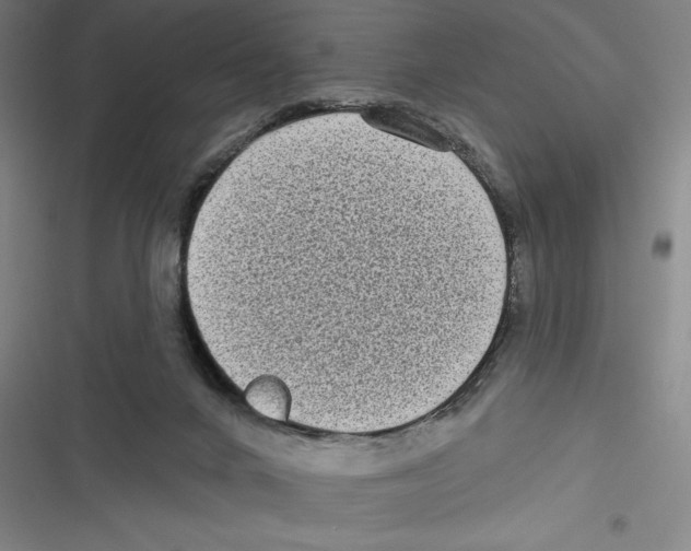 X0000116770024201001141500
