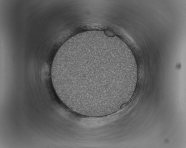 X0000116770025201001141500
