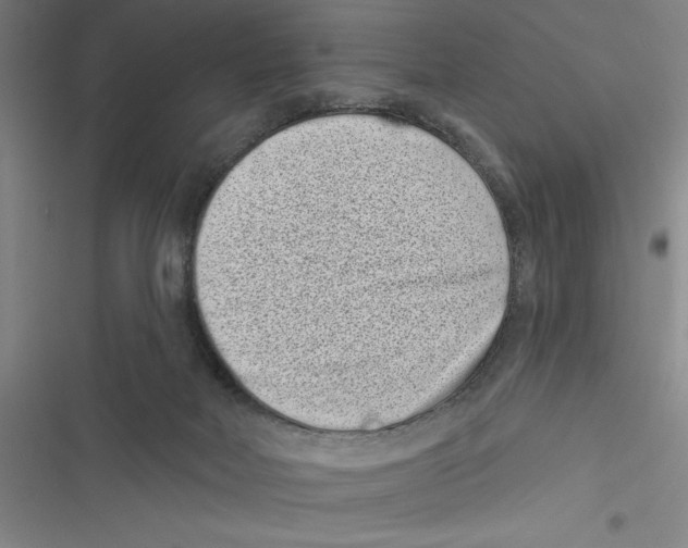X0000116770026201001141500