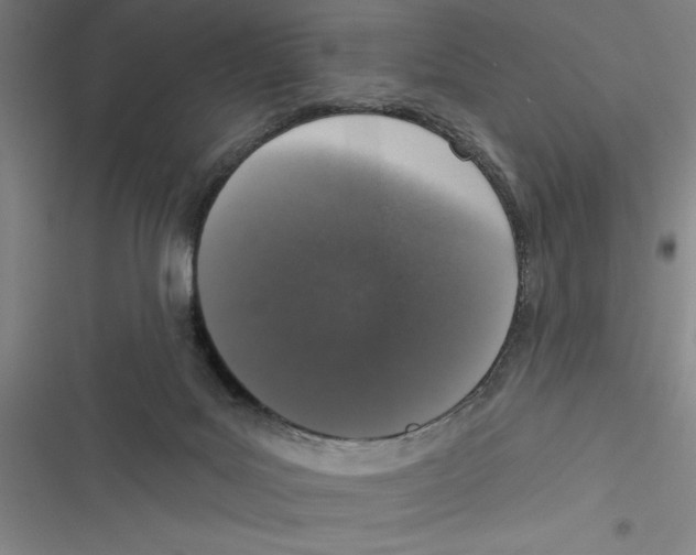 X0000116770027201001141500