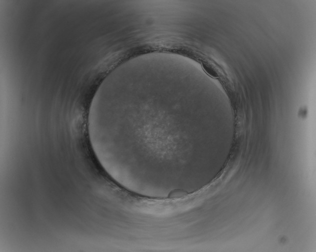 X0000116770029201001141500