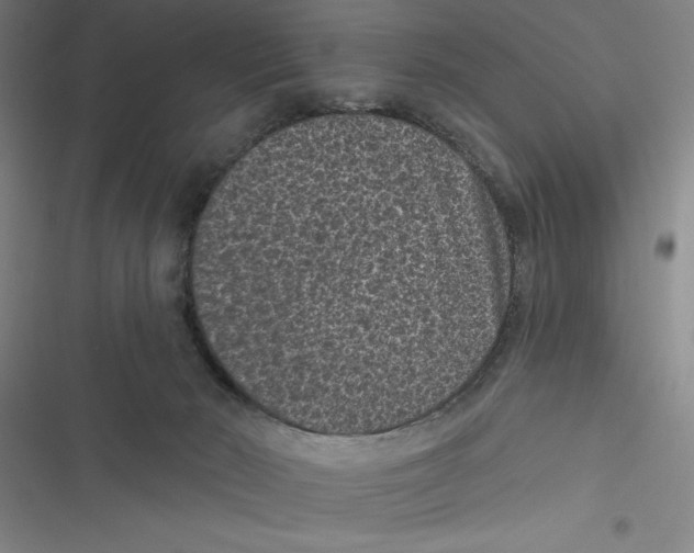X0000116770030201001141500