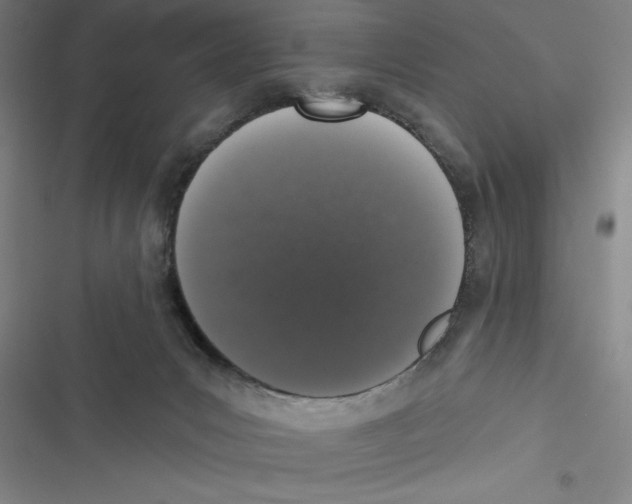 X0000116770031201001141500