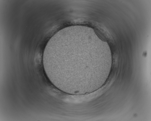 X0000116770033201001141500
