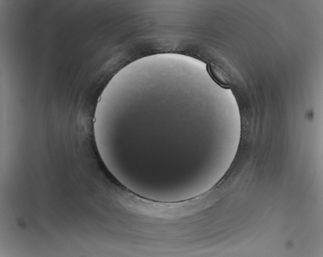 X0000116770035201001141500