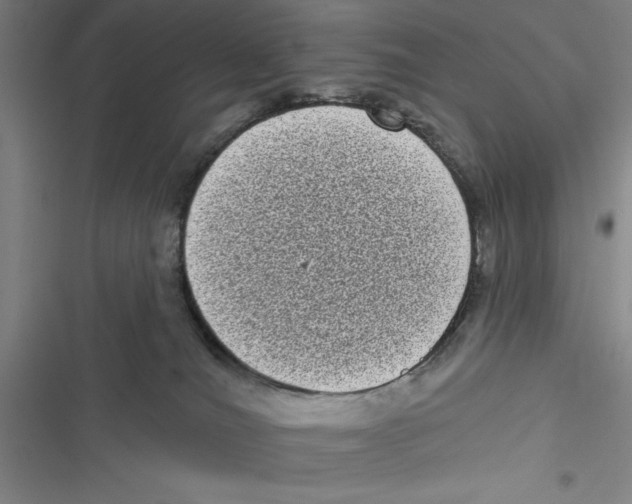 X0000116770036201001141500