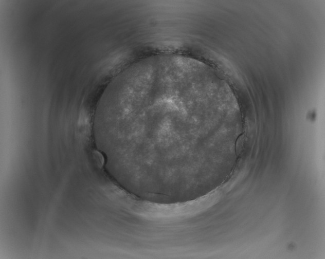X0000116770037201001141500