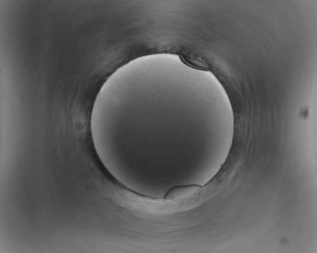 X0000116770039201001141500
