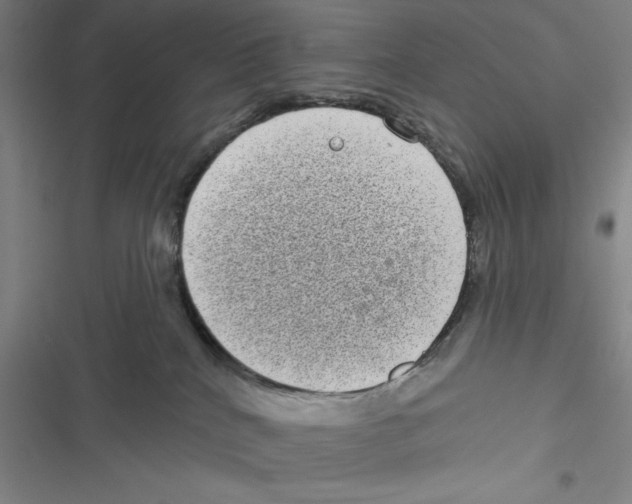 X0000116770040201001141500