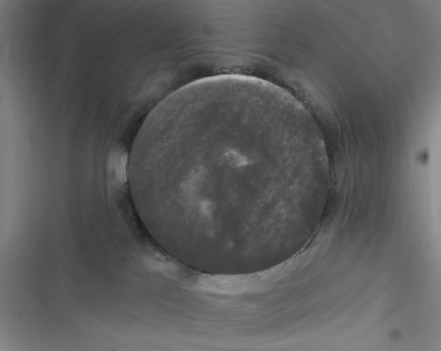 X0000116770041201001141500
