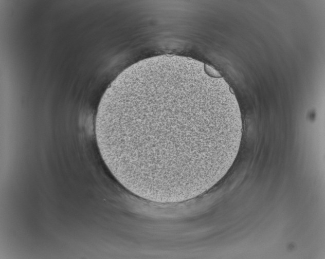 X0000116770042201001141500