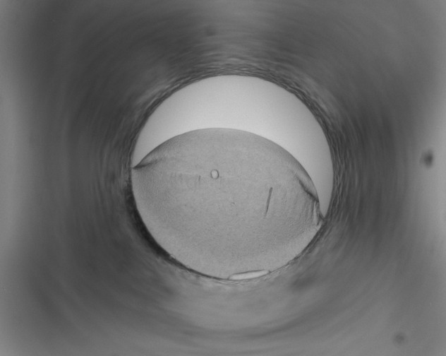 X0000116770043201001141500