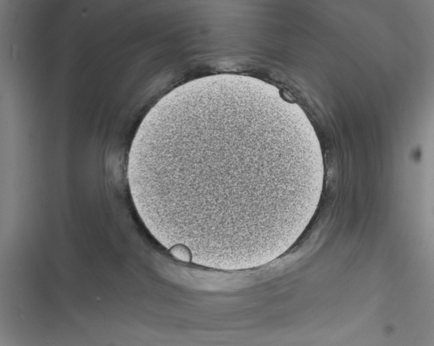 X0000116770044201001141500