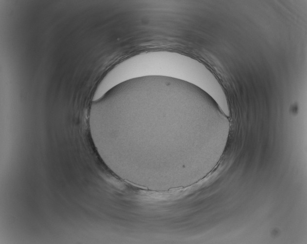 X0000116770045201001141500