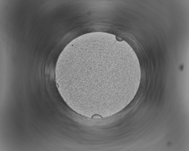 X0000116770046201001141500