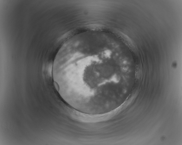 X0000116770047201001141500