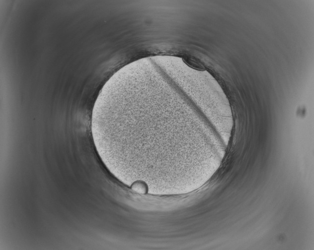 X0000116770048201001141500