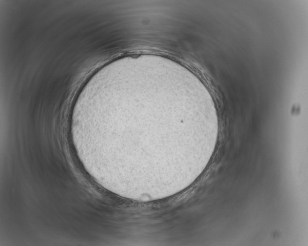 X0000116770049201001141459