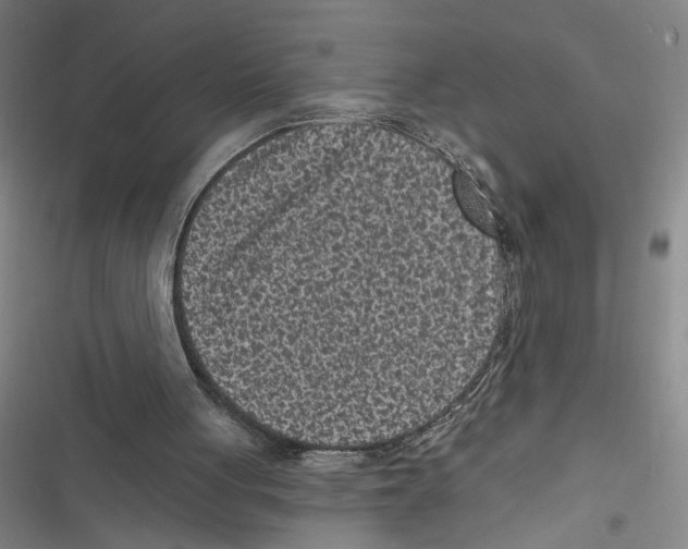 X0000116770051201001141459