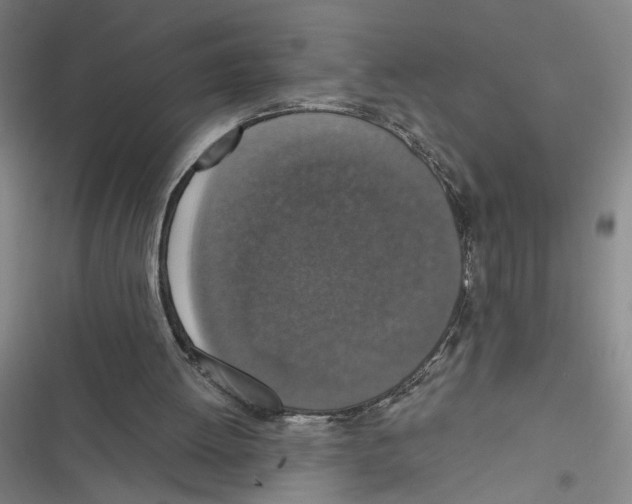 X0000116770052201001141459