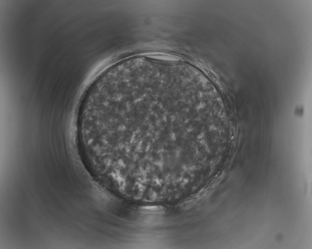X0000116770053201001141459