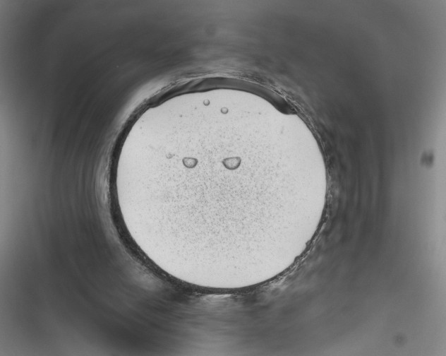 X0000116770054201001141459
