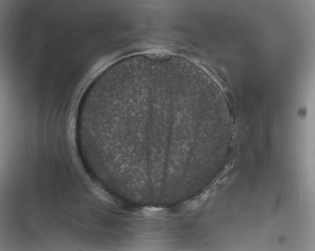 X0000116770055201001141459