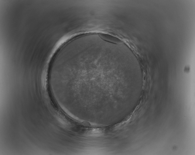 X0000116770056201001141459
