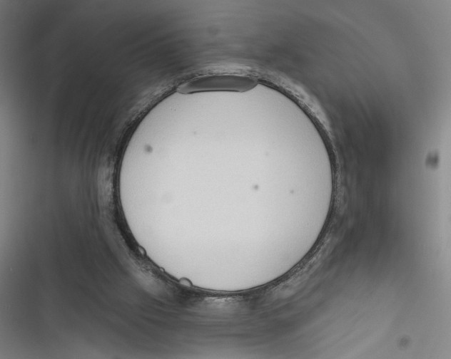 X0000116770057201001141459