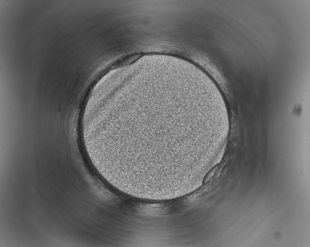 X0000116770058201001141459