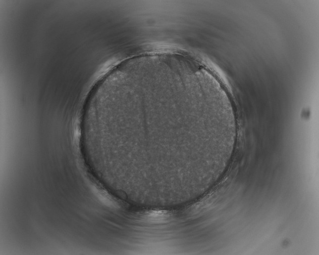 X0000116770059201001141459