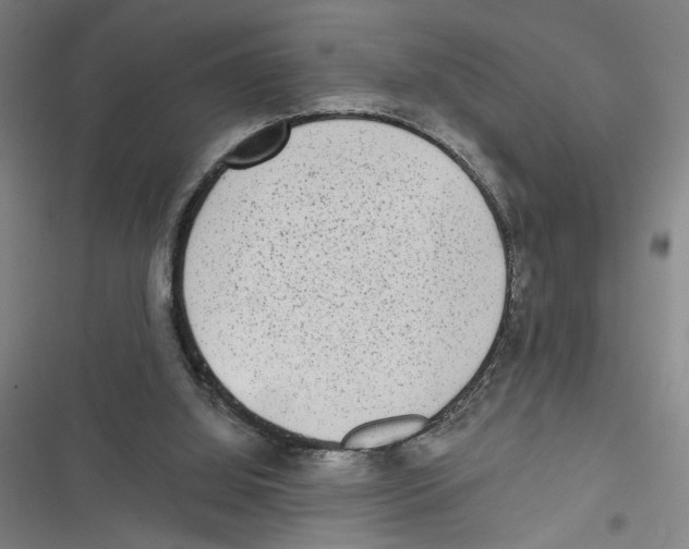 X0000116770060201001141459