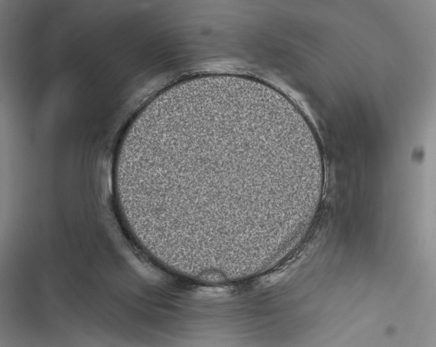 X0000116770061201001141459