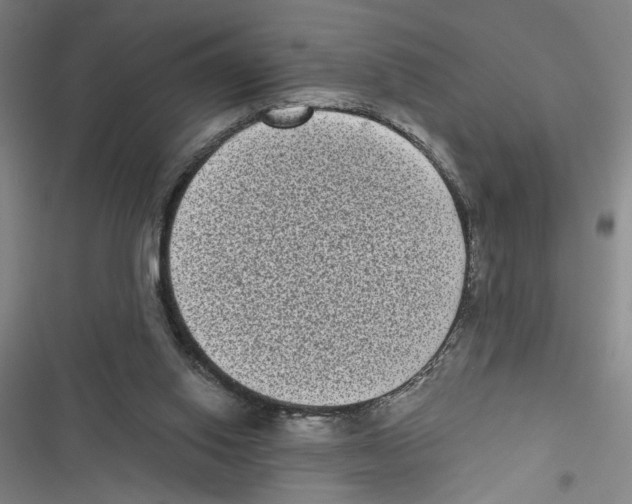 X0000116770062201001141459