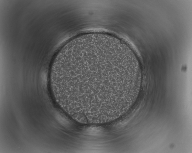 X0000116770063201001141459