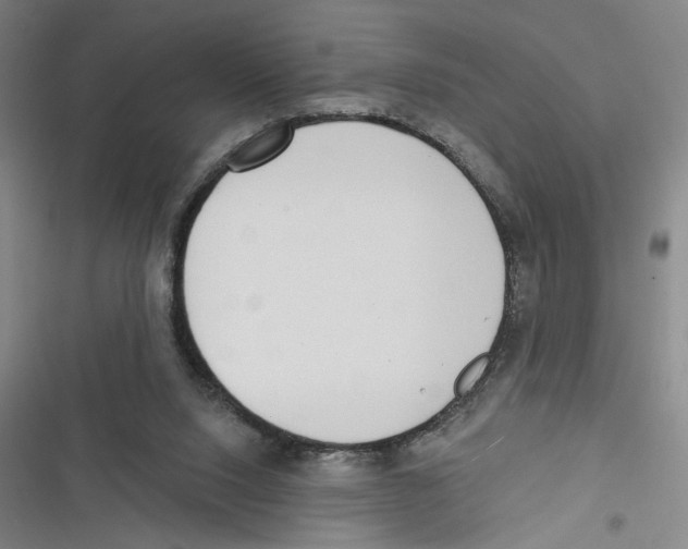 X0000116770064201001141459