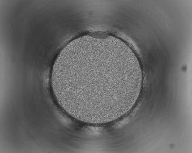 X0000116770065201001141459