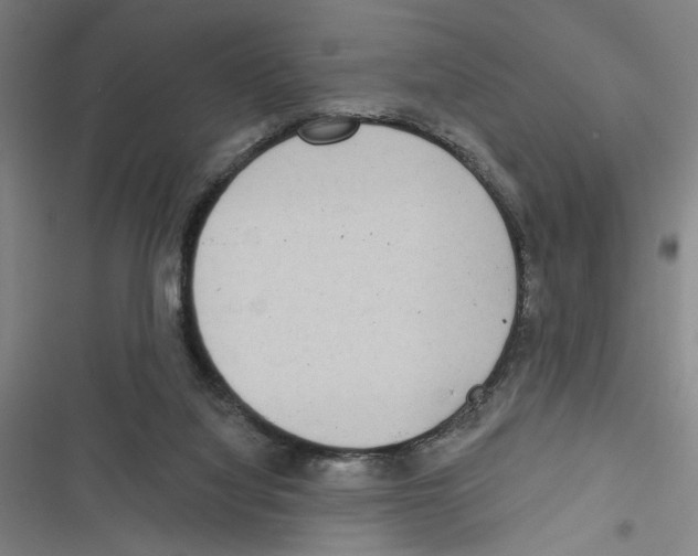 X0000116770068201001141459