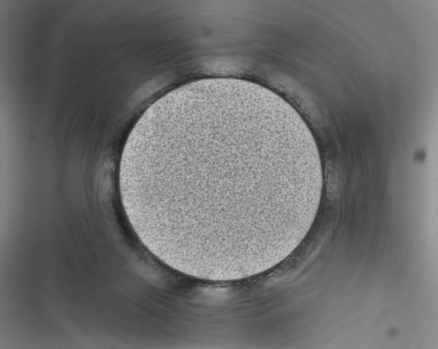 X0000116770071201001141459