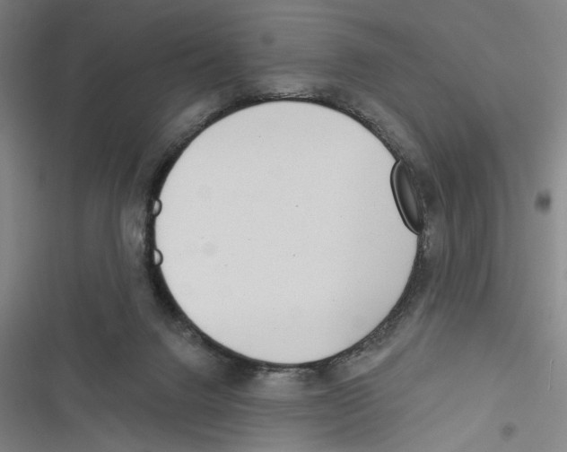 X0000116770072201001141459