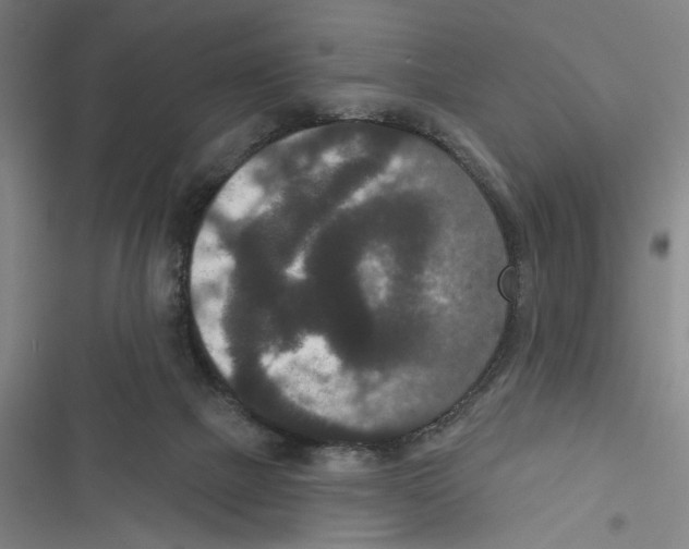 X0000116770073201001141459