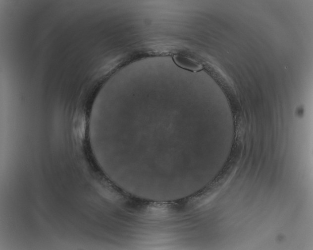 X0000116770076201001141459