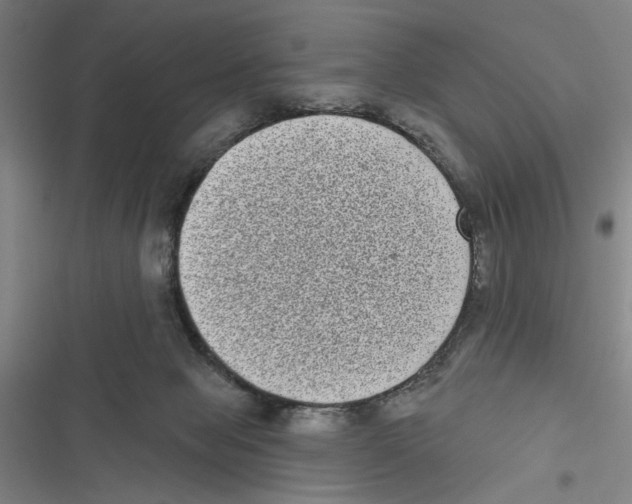 X0000116770077201001141459