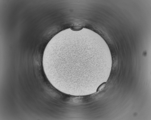 X0000116770078201001141459