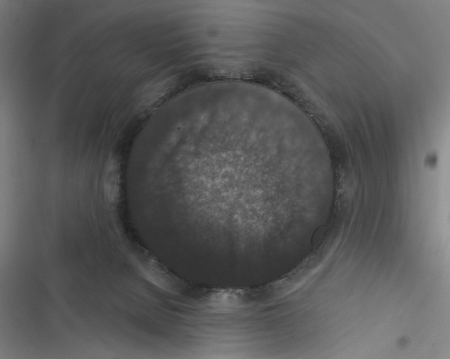 X0000116770080201001141459