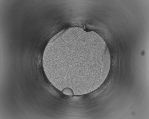 X0000116770081201001141459